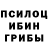 Псилоцибиновые грибы Psilocybine cubensis V1seleK